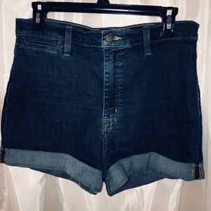 Urban Outfitters BDG Pin-Up High Rise Shorts
